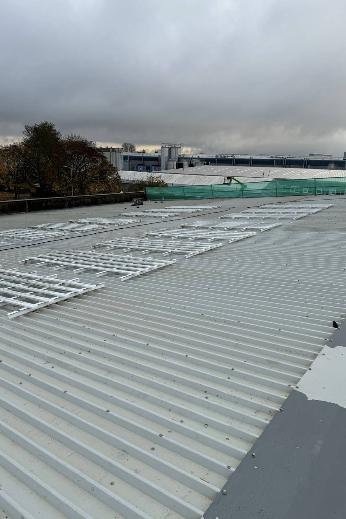 Roof and netting before